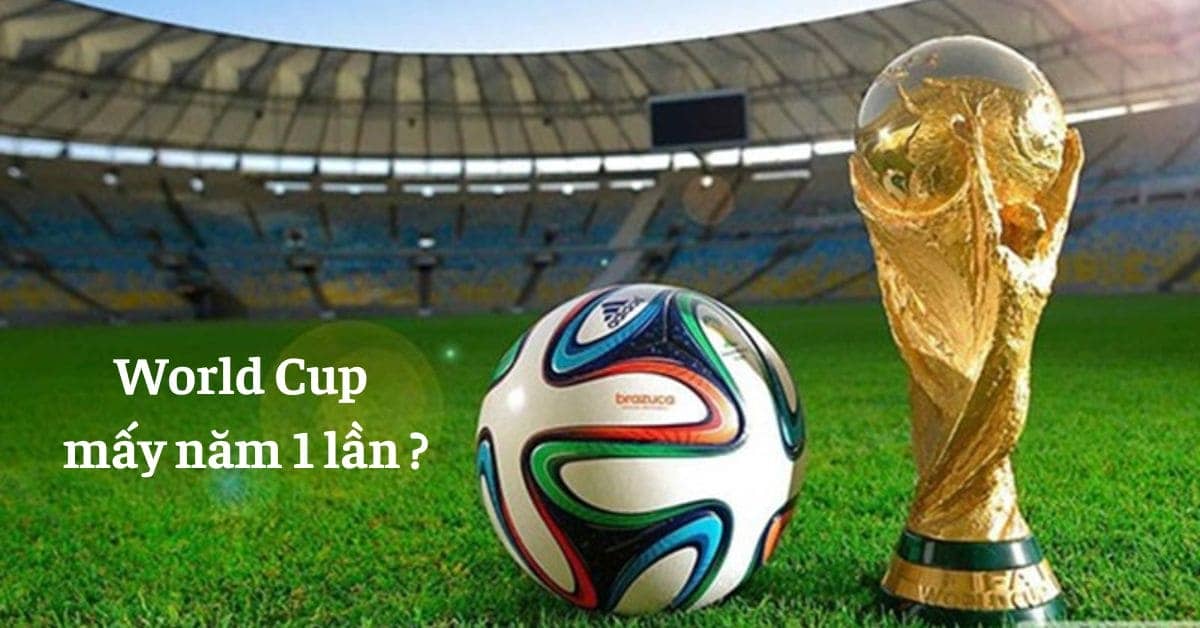 Quy định giải đấu World Cup mấy năm 1 lần?
