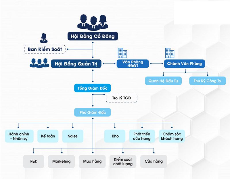 Lựa chọn mô hình tổ chức phù hợp giúp tối ưu hóa luồng thông tin và nguồn lực.